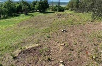 Eladó Balatonszőlősi zártkert hirdetés (22672982)