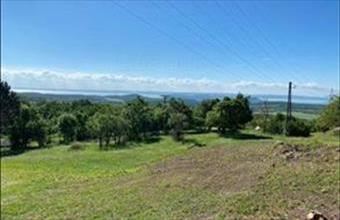 Eladó Balatonszőlősi zártkert hirdetés (22672982)