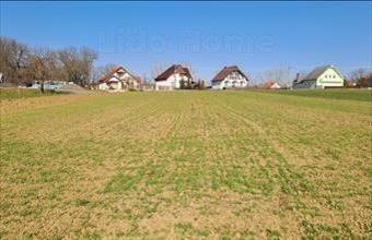 Eladó Olaszfalui lakóövezeti telek hirdetés (99647234)