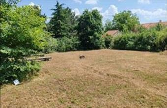 Eladó Zánkai lakóövezeti telek hirdetés (84347468)