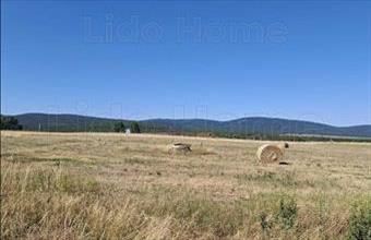 Eladó Márkói termőföld, szántó hirdetés (18771299)