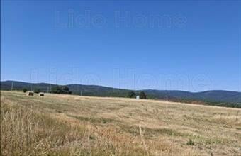 Eladó Márkói termőföld, szántó hirdetés (18771299)