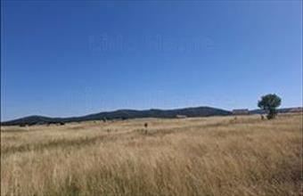 Eladó Márkói termőföld, szántó hirdetés (18771299)