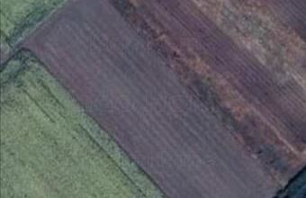 Eladó Balatonvilágosi egyéb mezőgazdasági ingatlan hirdetés (47639755)