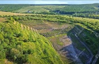 Eladó Mályi egyéb ipari ingatlan hirdetés (46746234)