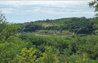 Eladó Mályi egyéb ipari ingatlan hirdetés (61218445)