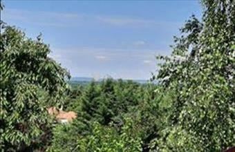 Eladó Pátyi családi ház hirdetés (49675975)