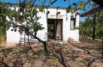 Eladó Alsóörsi hétvégi ház hirdetés (71343754)