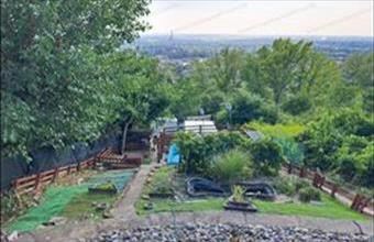 Eladó Tatabányai családi ház hirdetés (24516233)