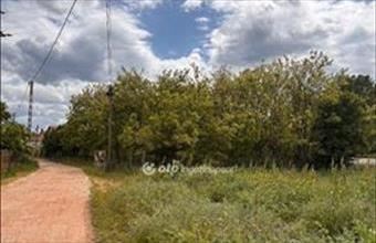 Eladó Cibakházai külterületi telek hirdetés (43837411)