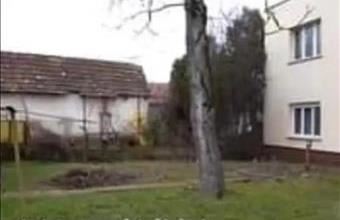 Cserélhető Farmosi családi ház hirdetés (75633461)