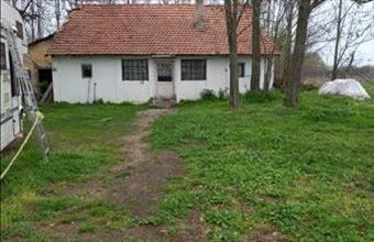 Eladó Bordányi tanya hirdetés (74413117)