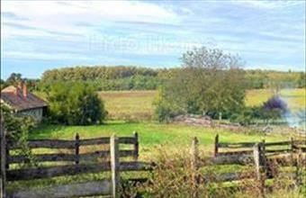 Eladó Holládi lakóövezeti telek hirdetés (62589264)