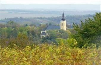 Eladó Karádi hétvégi ház hirdetés (36613688)