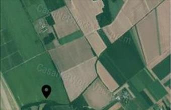 Eladó Szabadhídvégi erdő hirdetés (23947649)