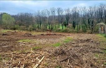 Eladó Ajkai lakóövezeti telek hirdetés (94479932)