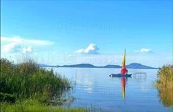 Eladó Balatonfenyvesi hétvégi ház hirdetés (39937249)