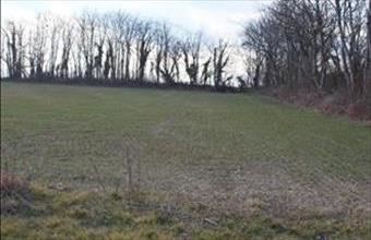 Eladó Alsópáhoki lakóövezeti telek hirdetés (57387949)