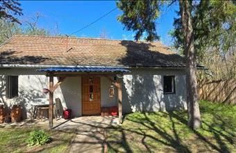 Eladó Cserkeszőlői családi ház hirdetés (64363377)