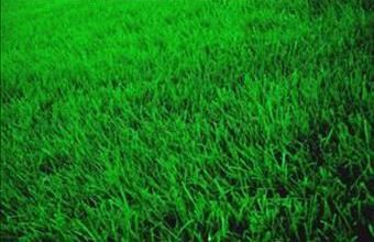 Eladó Karádi lakóövezeti telek hirdetés (31132292)