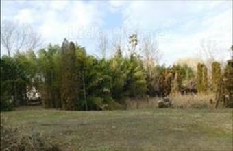 Eladó Lengyeltóti lakóövezeti telek hirdetés (56429233)