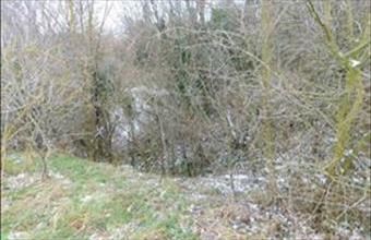 Eladó Karádi egyéb mezőgazdasági ingatlan hirdetés (95774613)