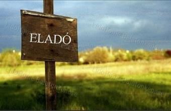 Eladó Balatonfőkajári lakóövezeti telek hirdetés (46263284)