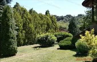 Eladó Balatonkenesei hétvégi ház hirdetés (59943368)