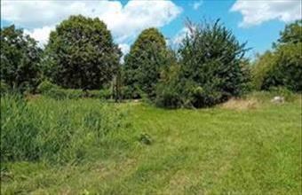 Eladó Tényői lakóövezeti telek hirdetés (22975478)