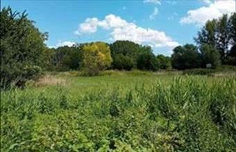 Eladó Tényői lakóövezeti telek hirdetés (22975478)