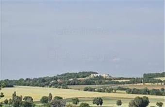 Eladó Écsi zártkert hirdetés (42323297)