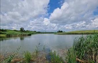 Eladó Lajoskomáromi egyéb mezőgazdasági ingatlan hirdetés (99937334)