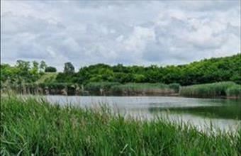 Eladó Lajoskomáromi egyéb mezőgazdasági ingatlan hirdetés (99937334)