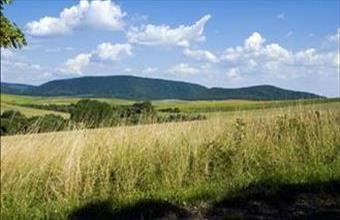 Eladó Kutasói lakóövezeti telek hirdetés (59759724)