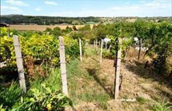 Eladó Mohácsi hétvégi ház hirdetés (68872174)