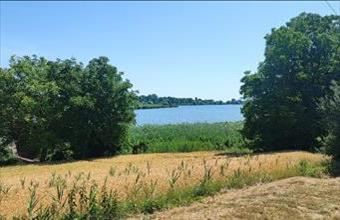 Eladó Valkói hétvégi ház hirdetés (77416832)