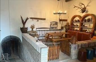 Eladó Szekszárdi tanya hirdetés (31753548)