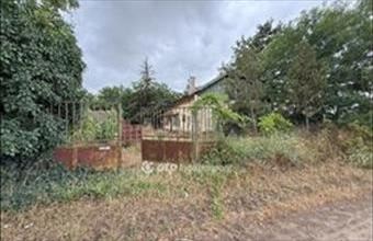 Eladó Tiszakécskei tanya hirdetés (37954493)