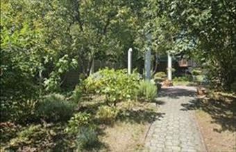 Eladó Tahitótfalui családi ház hirdetés (34886658)