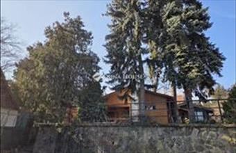 Eladó Leányfalui családi ház hirdetés (49699244)