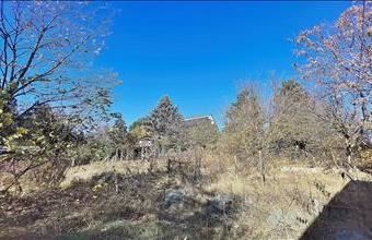 Eladó Solymári egyéb telek hirdetés (37798738)