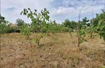 Eladó Mezőkomáromi lakóövezeti telek hirdetés (89229935)