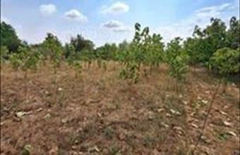 Eladó Mezőkomáromi lakóövezeti telek hirdetés (89229935)