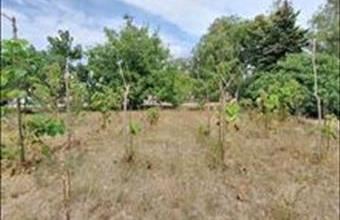 Eladó Mezőkomáromi lakóövezeti telek hirdetés (89229935)