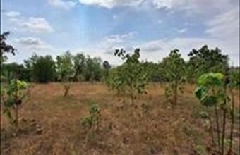 Eladó Mezőkomáromi lakóövezeti telek hirdetés (89229935)