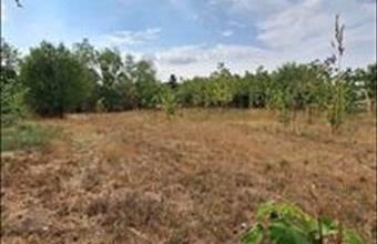 Eladó Mezőkomáromi lakóövezeti telek hirdetés (89229935)