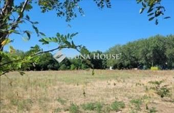 Eladó Vecsési termőföld, szántó hirdetés (52422379)