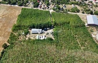 Eladó Gyömrői fejlesztési lakóterület hirdetés (59669375)