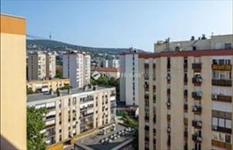 Eladó Pécsi panel lakás hirdetés (41991323)