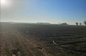 Eladó Telekgerendási termőföld, szántó hirdetés (33645257)